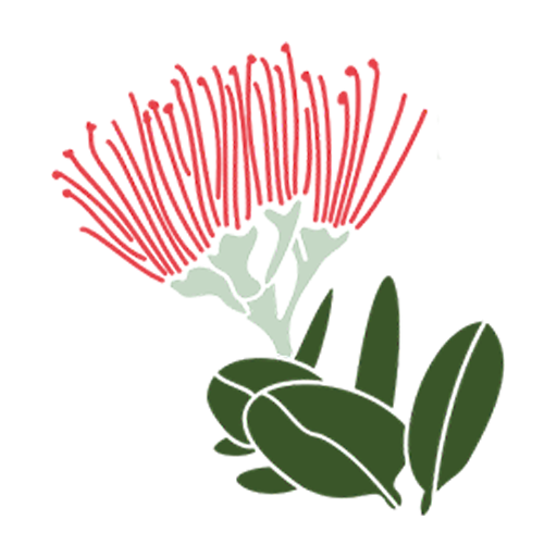 site favicon